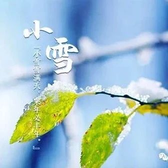 又是一年小雪至