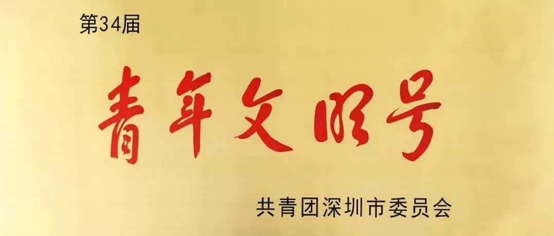 喜讯 | 深总院建筑创作院重大项目攻坚团队 荣获第34届“深圳市青年文明号”