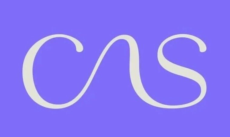 艺术社区CAS视觉形象