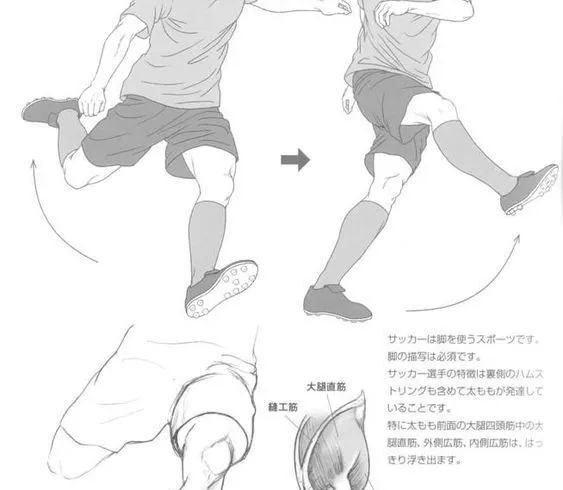 插画教程 |  运动中的人体动态绘制参考