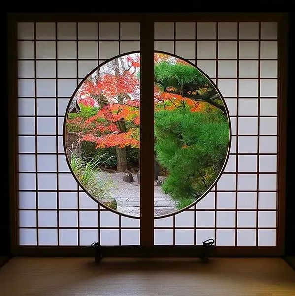 视频号丨日本庭園：京都の秋