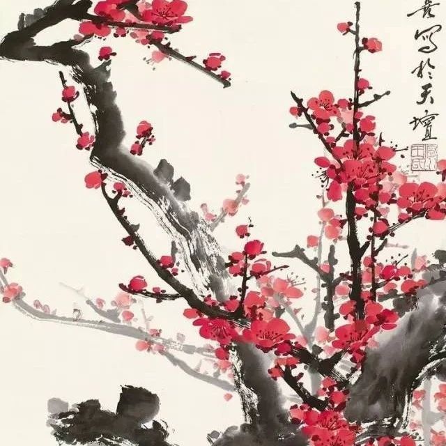 这位画梅，铁骨生春！