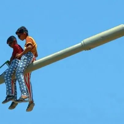 弗朗西斯·艾利斯 简史