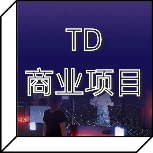 赚大钱必备的TD商业项目大师班，12周双导师亲授现象级商业项目开发流程及实战产出