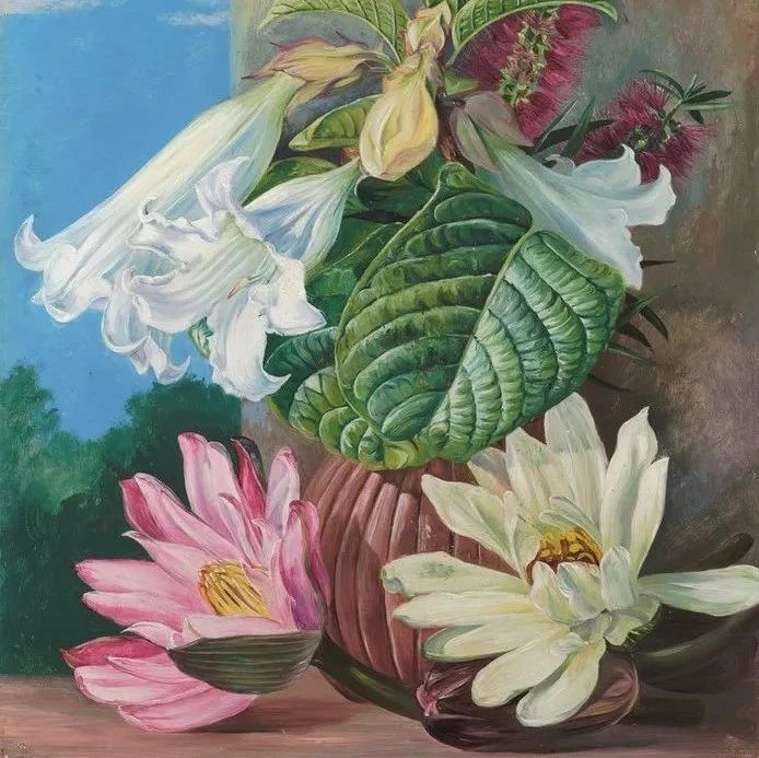 小物书店&nbsp;|&nbsp;花朵与探险：玛丽安娜·诺斯的艺术世界