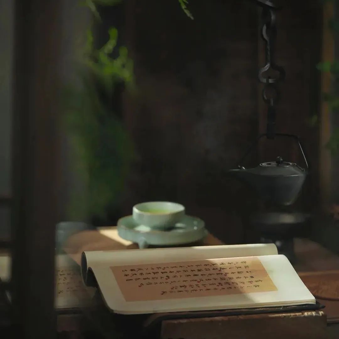 夏雨天，品茶时。