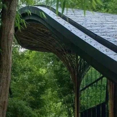 成都邛崃竹博馆 / UNO Architects + 西南交通大学林荣工作室