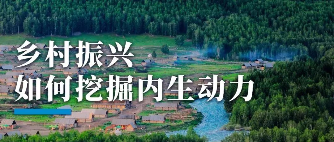 乡村振兴——如何挖掘内生动力