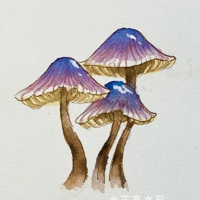 芷言水彩蘑菇绘画作品欣赏