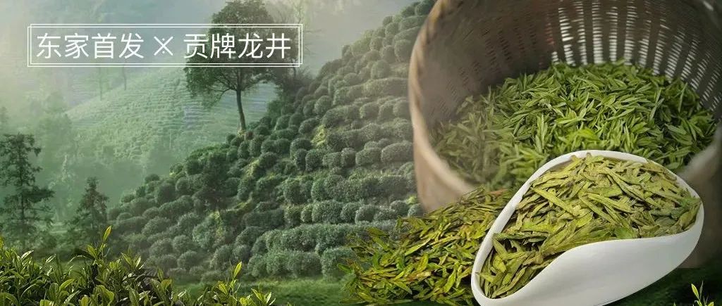 新品首发005期丨什么是真正的好龙井？