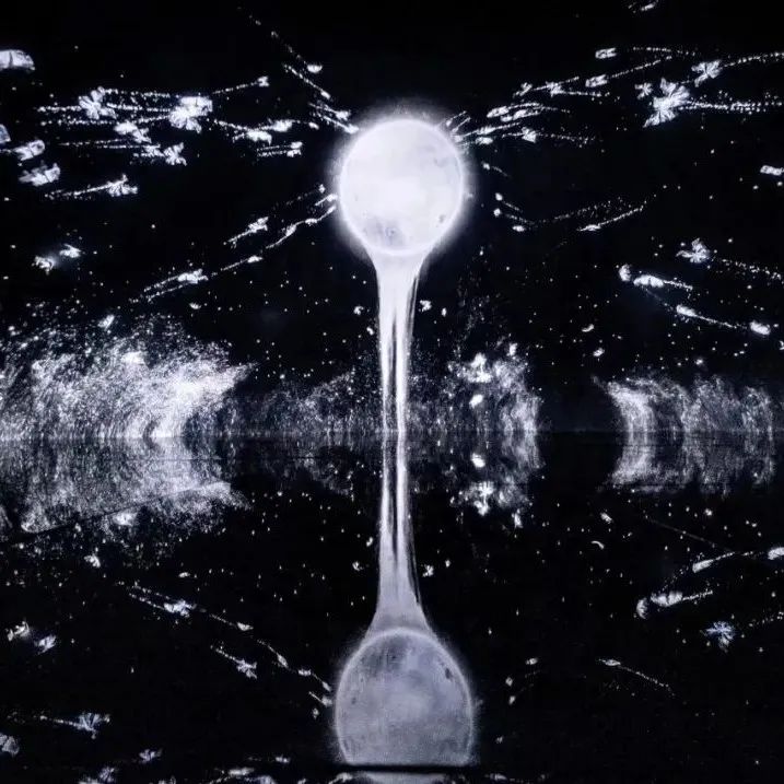 打破艺术边界，邀您开启一场探索绮丽共生的沉浸之旅