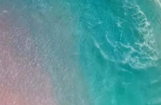 美甲师的海洋艺术