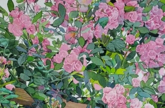 年展评奖｜2022中国西部水彩学术年展获奖作品展