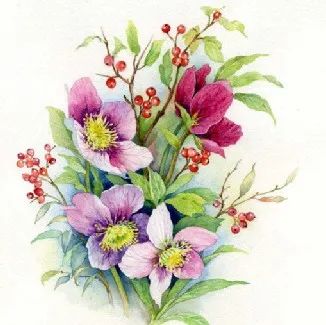 Anne Marie水彩花卉绘画作品欣赏
