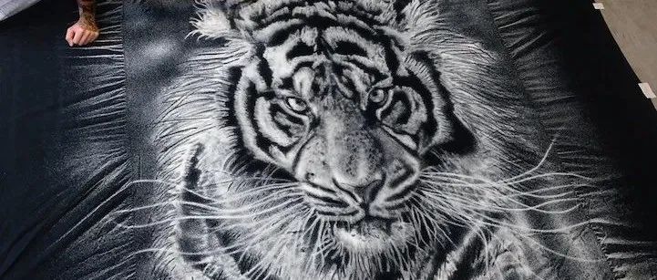 用盐画画的全能艺术家，只有你想不到，没有他画不出的​