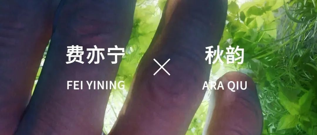 「松间对话」回顾｜费亦宁&amp;秋韵