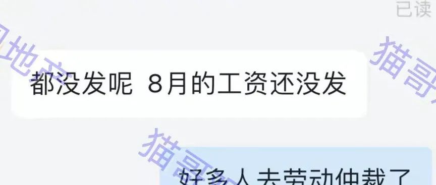 连续四个月没发工资，这家要暴雷了？