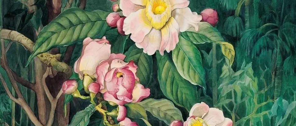 「松」公教 | 花艺美学工坊，漫享周末时光