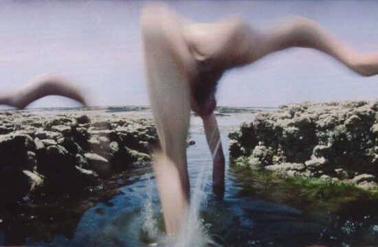 Frederic Fontenoy-变形记