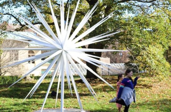 美国·布鲁克林植物园的“风籽”装置 / Norman Mooney Art