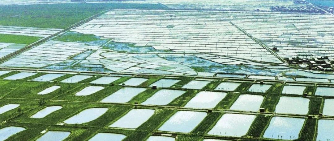 河套，套住了啥？