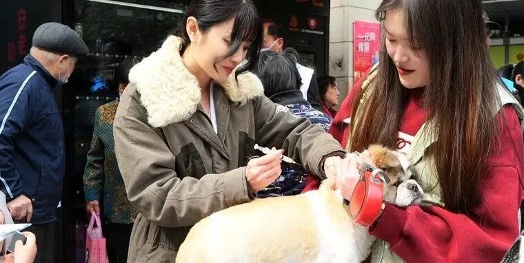 离开游戏行业后，你对新工作满意吗？