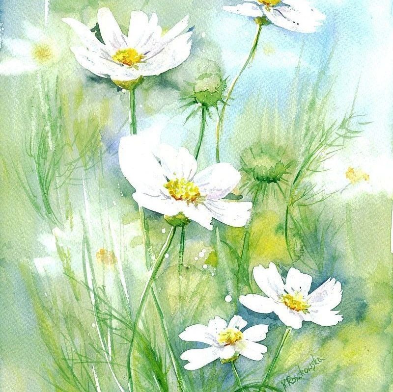 水彩花卉：画家 Maria Roszkowska 绘画作品