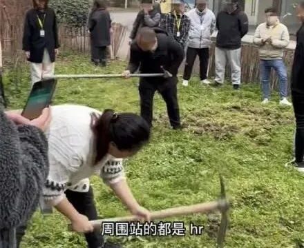 迷惑：去面试，公司让你当场挖地