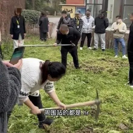 迷惑：去面试，公司让你当场挖地