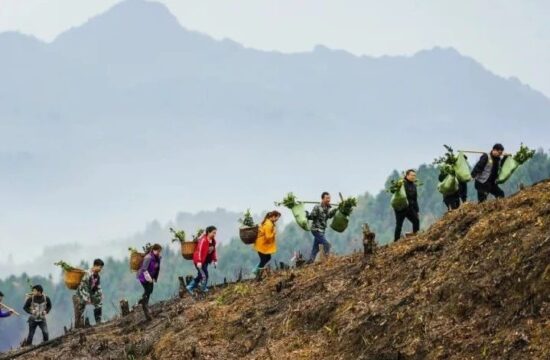 筑梦——我们的新时代 | 向幸福迈进