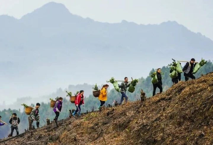 筑梦——我们的新时代 | 向幸福迈进