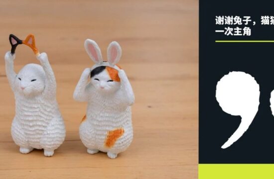 艺术家｜谢谢兔子，猫猫我呀也想当一次主角
