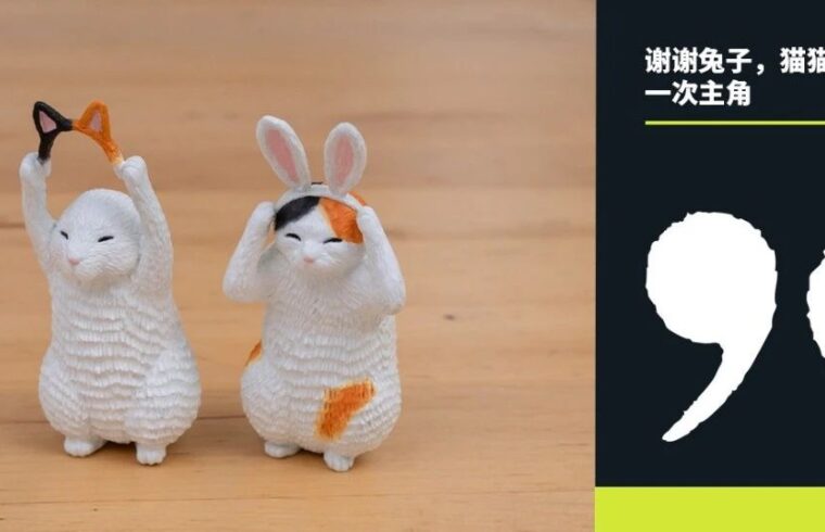 艺术家｜谢谢兔子，猫猫我呀也想当一次主角