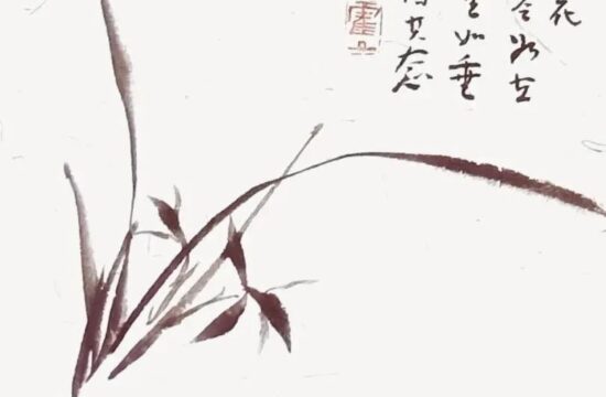 霍春阳：兰花的画法