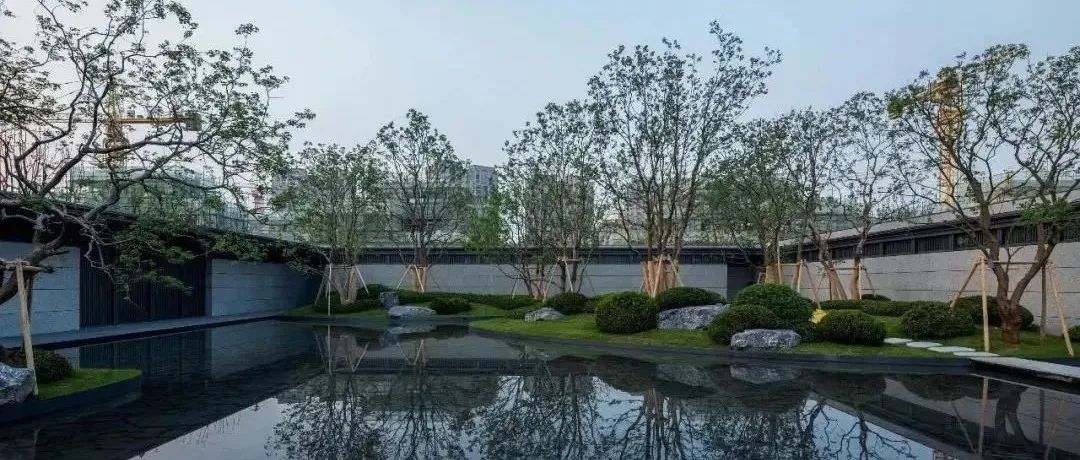 @植物设计师，您有一个精品课程待查收！