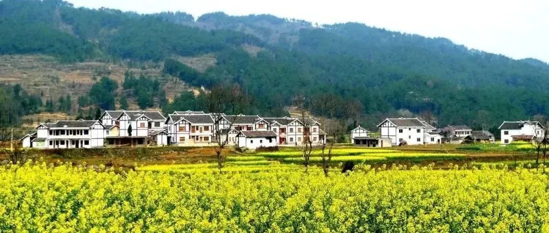 农村自建房约定：“一切安全事故由包工头负责”，房主是否可以免责？