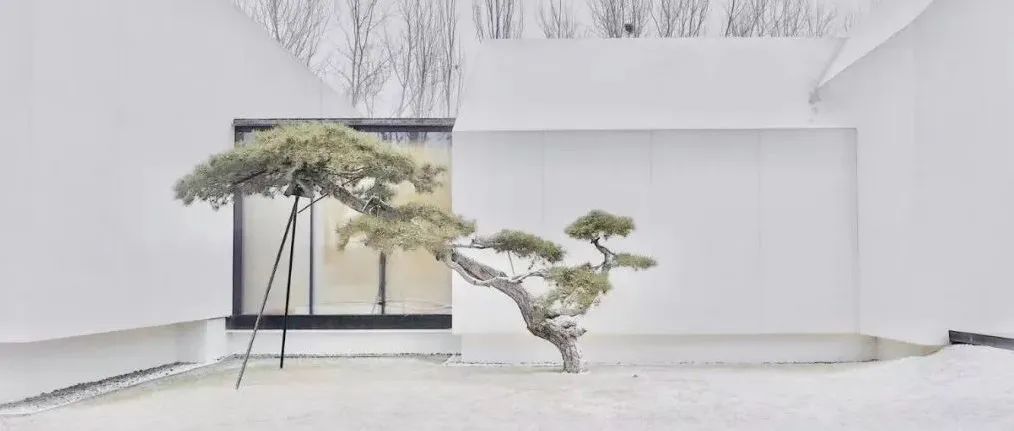 大寒