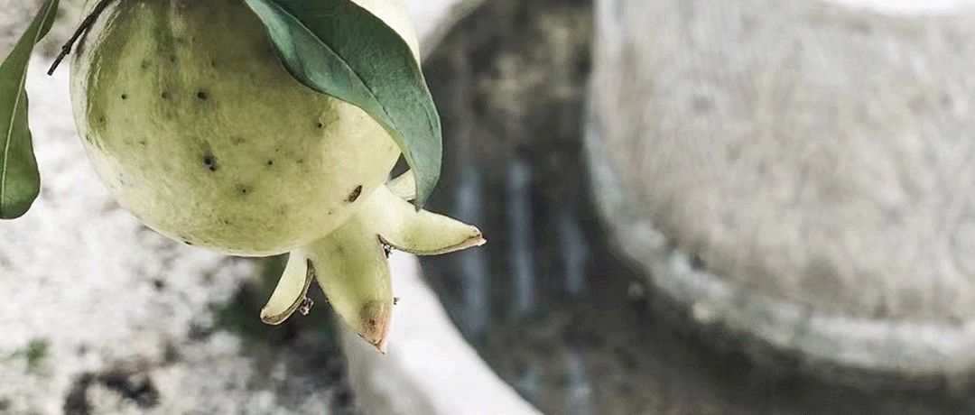 美林设计机构：有时茶想，人间况味