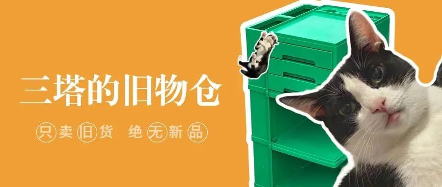 聊聊 | 这只猫咪跟你分享他心爱的老家具