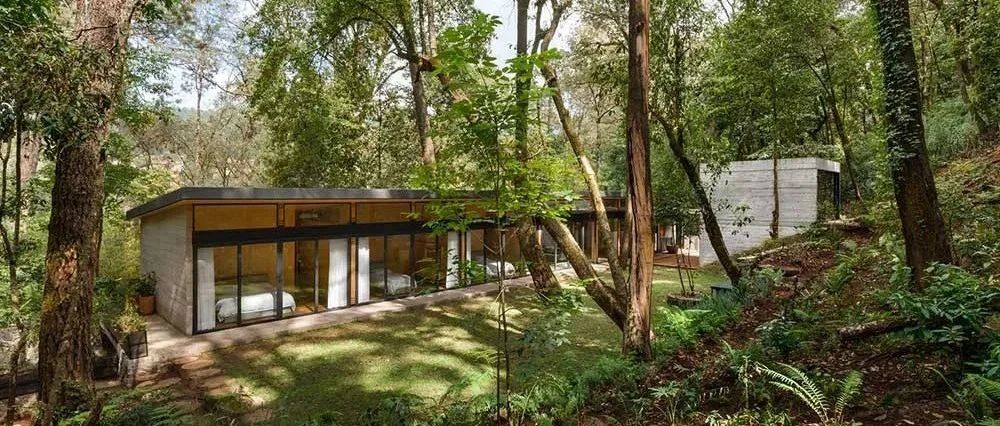 【PI 作品集】Casa EI Pinar：可持续建筑，与自然共生的森林木屋 2022北美PI设计大奖 WINNER 作品欣赏