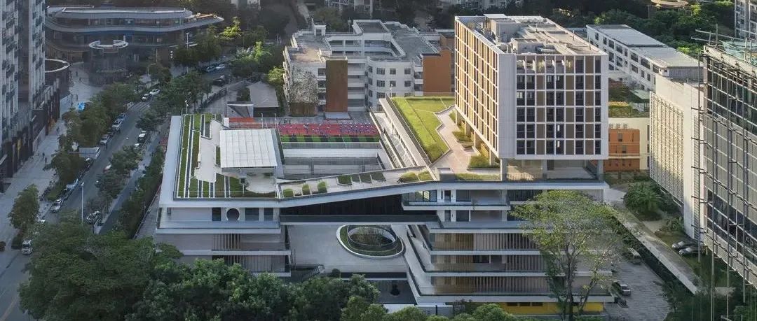 深圳南山科苑小学 | 窗外有自然，门外有乐园