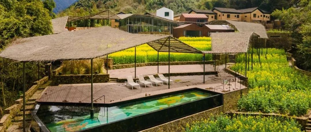 乡村文旅标杆｜9位导师授课、20+项目深度研学招募