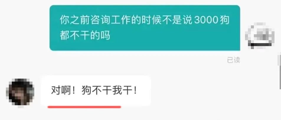 内卷：我的致命同事？！