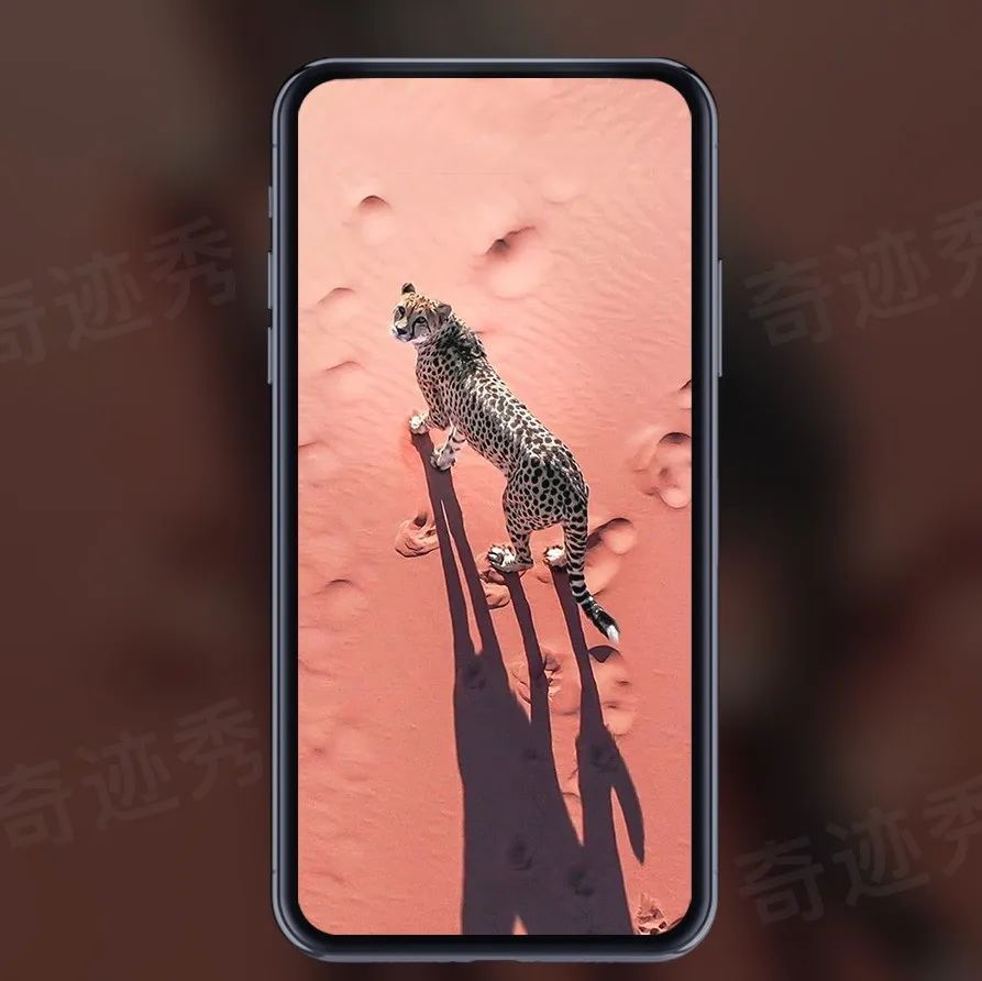 精选壁纸 | 陪全世界失眠！