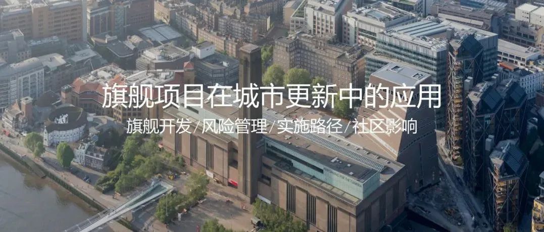 旗舰项目在城市更新中的应用