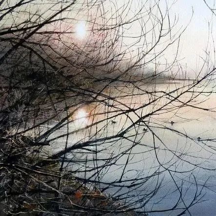 英国画家DEBORAH WALKER的水彩画