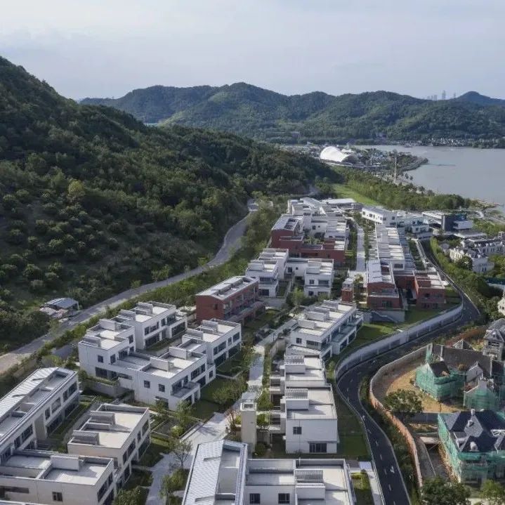 浙江湖畔山地小镇：茶亭·自由之滨 / c+d 设计中心