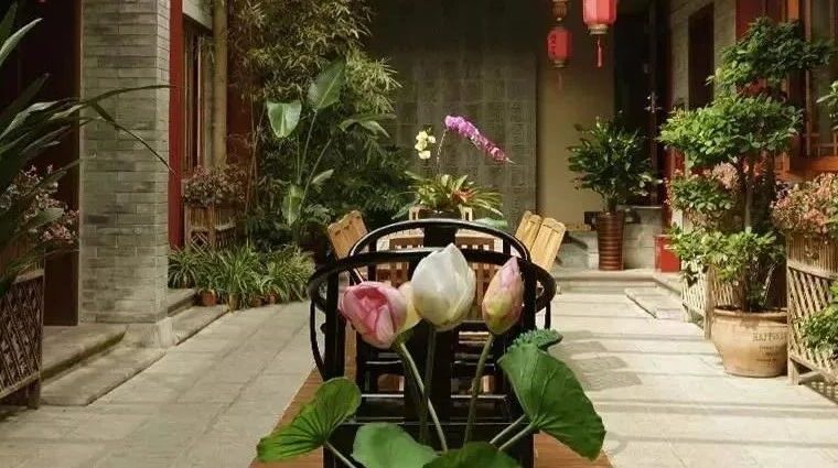 有个自己的小院，天天都像度假