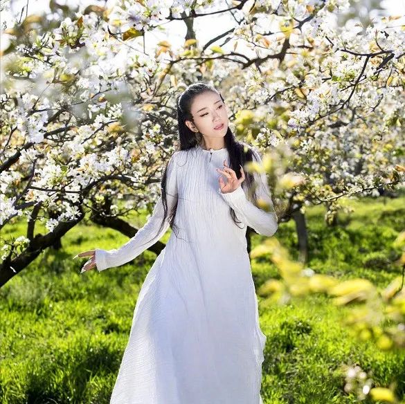 杨丽萍的宅子，李子柒的后院，李玉刚的禅房，大多数人向往的生活都在这儿了