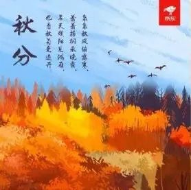 「虚谷無界·設計現場」秋分借势海报灵感！